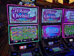 Philippine user enjoying sports betting on smartphone with live odds shown